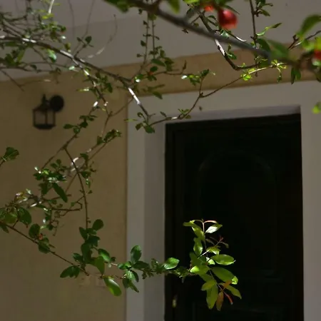 Giannatos Studios- Isabella Апартаменты Порос