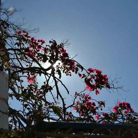 アパート Giannatos Studios- Isabella ポロス