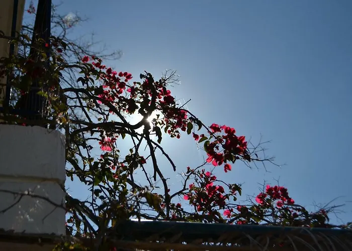 アパート Giannatos Studios- Isabella ポロス