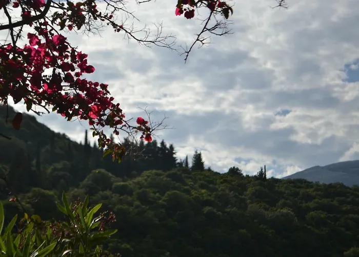 Giannatos Studios- Isabella *