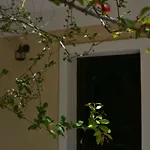 Giannatos Studios- Isabella Apartamento Poros (Kefalonia)