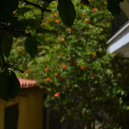 Giannatos Studios- Isabella Πόρος