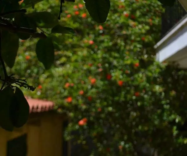 Giannatos Studios- Isabella Poros (Kefalonia)