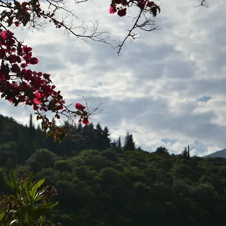 Giannatos Studios- Isabella *